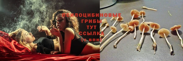 амф Белоозёрский